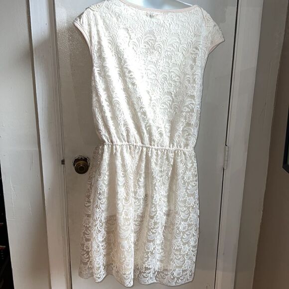 MOLLY BRACKEN Off White Lace Knee Length Dress-L NWT - Picture 4 of 9